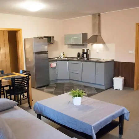 Cestar شقة Boží Dar